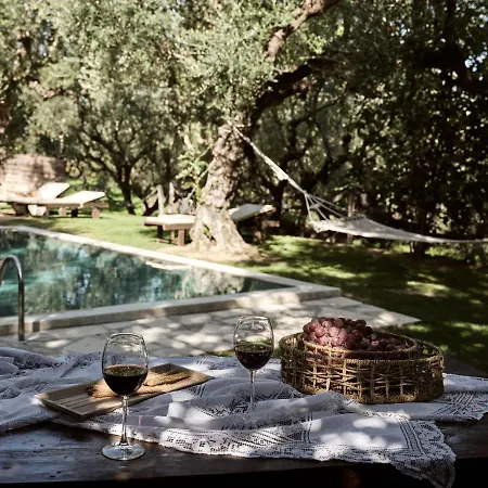 Vafias - Tranquil Location, Ideal For Large Groups, By Zantewize Villa *